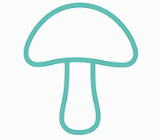 Functional Mushrooms